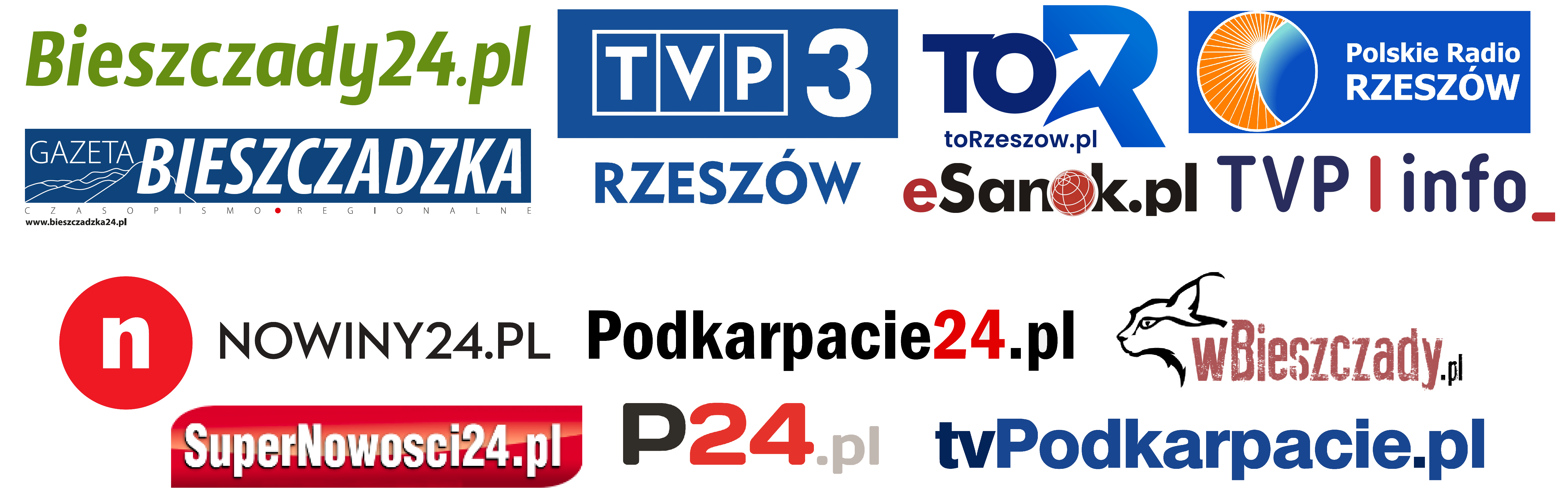 Patroni Medialni
